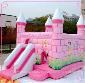 China CE Commercial Inflatable Jumping Castles with Amusement Park (CY-M2074) wholesale