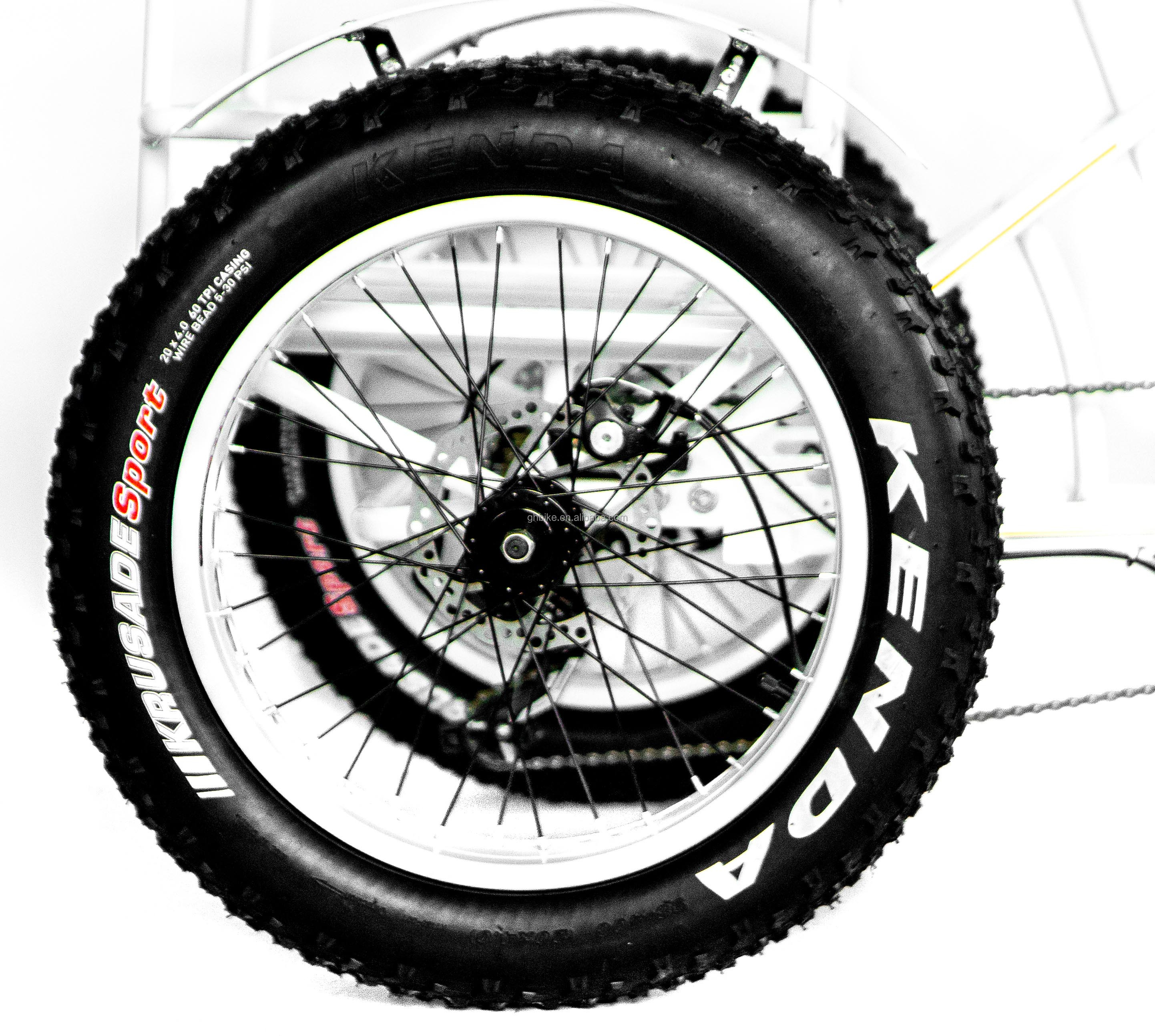 48V 14AH Rear Basket 4.0 Snow Tire Electric Cargo Tricycle with USA CE Certification