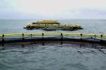 Nanfengwang Fish Cage for Fresh Water Fish Farming Durable and Environmentally