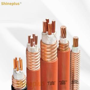 China Customized Mineral Fire Protection Cable BTLY 0.6 1KV 5*16 Aerial Insulated Radiation Proof Soft Cable wholesale