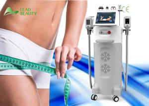 China Beauty spa salon use best results cryo lipolysis slimming machine wholesale