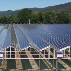 China Steel Structure Greenhouses Energy- jx-SG-21 Thermal Insulation Technology with Standards wholesale