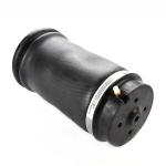 1643200825 ML-Class Rear Air Suspension Spring W164