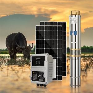 China 380V 4KW 17m3/H 150M 4inch Borehole Solar Submersible Water Pump With Panels wholesale