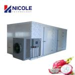 Electric Mechanized Fruit Industrial Air Dryer Machine Commercial Stainless