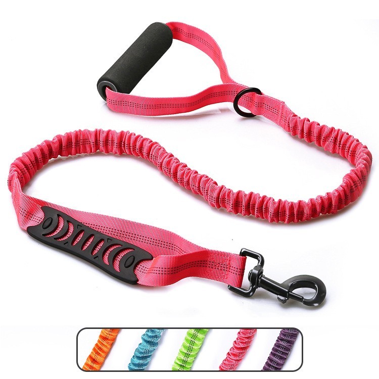 bungee leash for cats