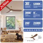 Modern Europe Style Ceiling Fan With Led Light Villa Ac Dc 3 Blade Wooden