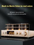 2.0 Channel Bluetooth Audio Amplifier , Vacuum Tube Amplifier Gold Color