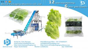 China Leafy greens salad 100g pouch automatic weighing and packing machine wholesale