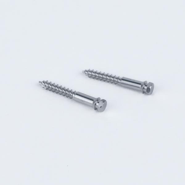 2-Pack Orthodontic TAD MSE Titanium Mini Screws Primary Application Micro-Implant Assisted Rapid Palatal Expansion MSE