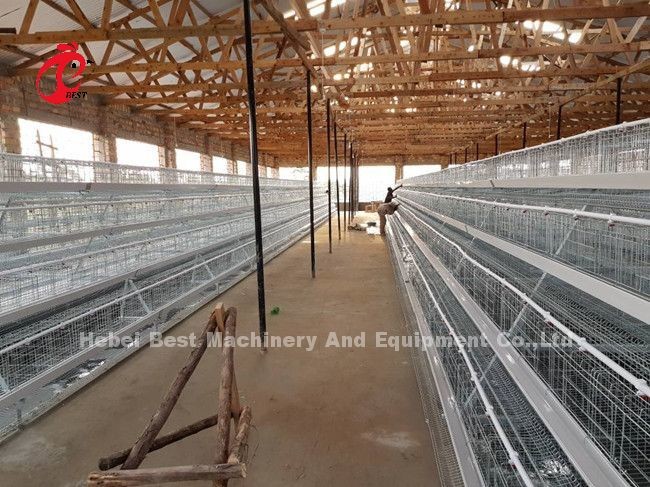 Chicken Farm 3 Tier Battery Cage System In Poultry Sandy