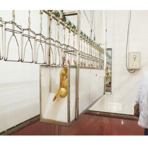 China stainless steel Poultry Slaughterhouse Equipment automatic For Meat Processing wholesale