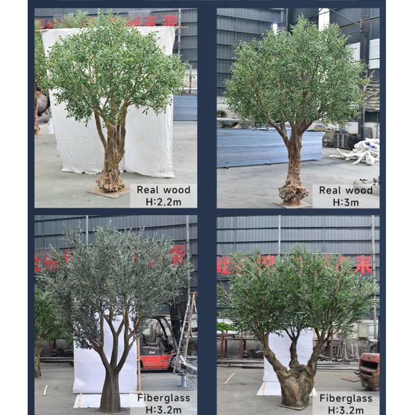 Customized Large Olive Artifical Tree Simulation Indoor Restaurant Decoration