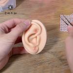 100 Pieces Vaccaria Ear Seeds For Auricular Therapy External Use Only