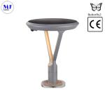 Factory Price 6.5W 5.5V PIR Sensor LED Solar Wall Light LED Solar Street Light