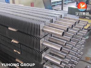 China ASME SA312 TP316 Seamless Steel Square Fin Tube For Boiler , Heat Exchanger wholesale