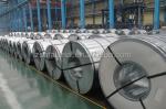 PVOC certified DX51D Z zinc coated hot dipped galvanized cold rolled steel coil