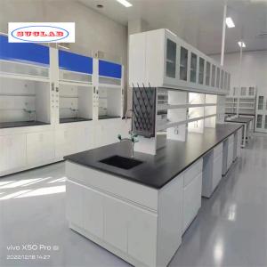 China Chemistry Lab Bench As Drawing Number of Holes and Hooks for Efficient Lab Management on sale