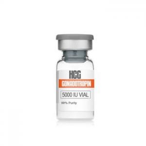 China HCG Injections Labels Hcg 5000iu HCG Peptides Human Chorionic Gonadotropin wholesale