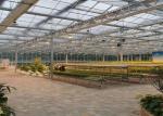 Customized PC Sheet Greenhouse Anti Condensation Large Wind Resistance