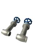 Low Temperature Cryo Valves Forged Steel Globe Valve CJ61F DN10 - DN250