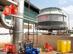 Food Grade 304SUS Tomato Production Line Customized 100T/D