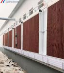 Automatic Poultry House Equipment 3m/3pan 3m/4pan Chicken Coop Shed