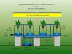 PO The Ultimate Solution for Vertical Farming in Multi-Span Agricultural