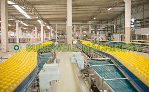 China 500ml Drink Juice Filling Machine Hot Filling With Watermelon wholesale