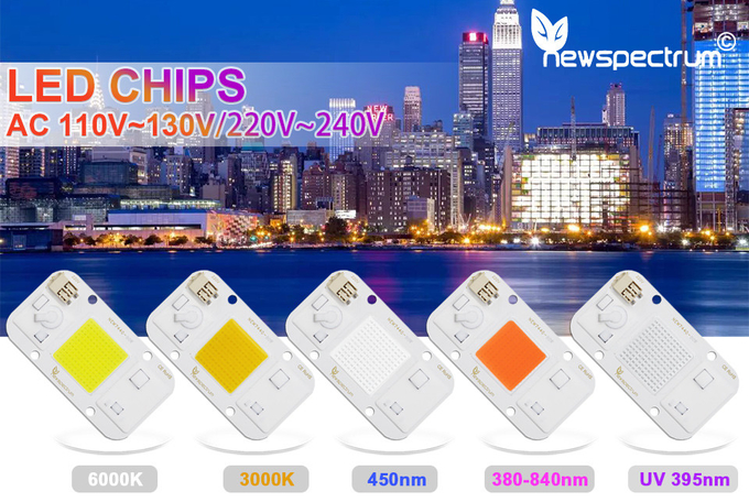 50W 395nm UV LED Chips 110V 220V High Lumen No Flicker Energy Saving