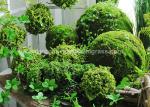 40*60cm Moss Hanging Ball Decorative Faux Moss Balls Dirty-Resistant