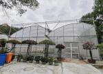 Excellent Natural Ventilation Sawtooth Greenhouse With Hot Dipped Galvanized