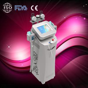 China Best Cryolipolysis Slimming Machine best figure shaping in advance for spa wholesale