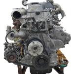 Building Material Shops 4M40 Diesel Engine Assembly for Long-Lasting Excavator