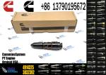 Cummins Diesel Engine Parts Fuel Injector Cummins 4914308 4914325 4914328 Nozzle