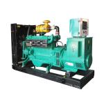 Gas power generator LPG generator for sale