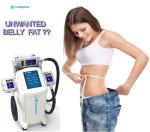 Fat Freeze Slimming Machine For Body Sculpture / Weight Reduction