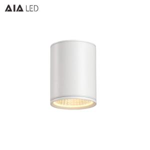 China 20W led downlight surface mounted&amp;ip65 downlight&amp;dimming led outdoor downlight for balcony wholesale