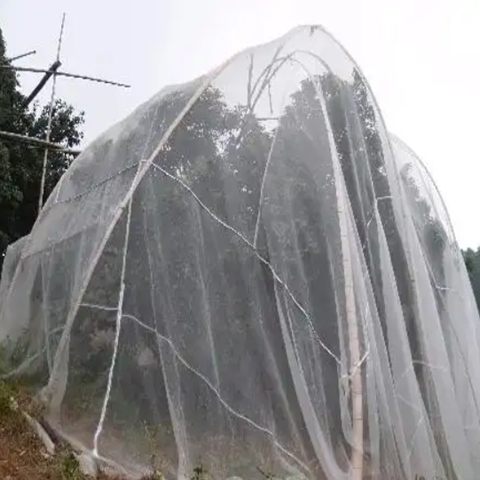 Wholesale Garden Netting Multiple Mesh Weather Resistant Net For Fruit Tree Planting