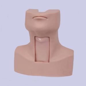 China Medical Emergency Training Advanced Tracheostomy Simulator On CPR Model wholesale