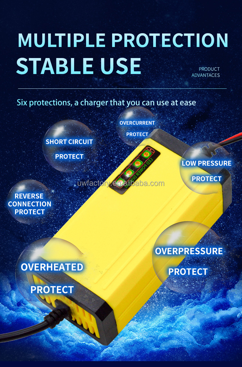 Private Mold 12V Pulse Repair Lead Acid Battery Charger with Fast Charging Speed and Temperature Control Compensation