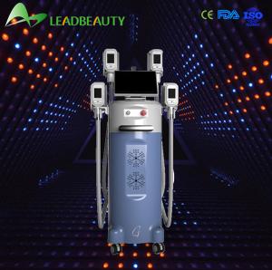 China Wholesale price!!! beco cryolipolysis wholesale