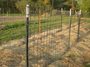 China 6 Feet Steel Studded T Post Galvanized Farm Fence Using wholesale