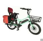 20" Magnesium Alloy Frame Ananda Bafang MID Drive Electric Bike for Family or