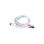 Vital Signs Monitoring Uninterrupted Bedside Monitor​ 12 Inch