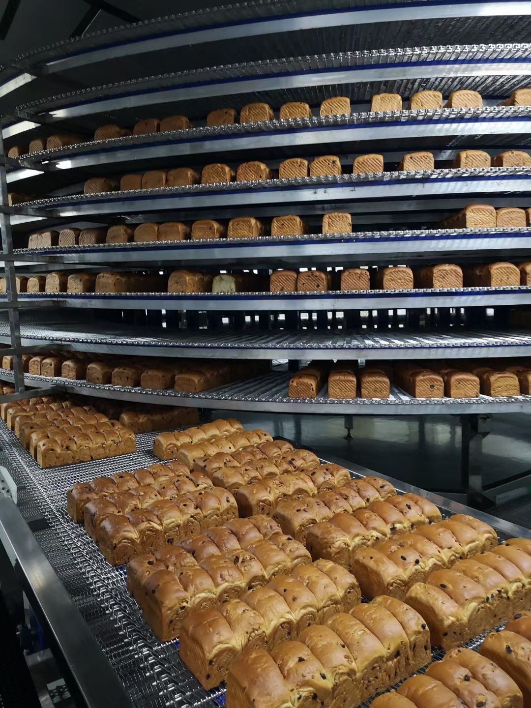Modular Belt Baking Cooling Towers