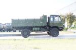 Top-Performing and Dongfeng 4X4 Off-Road Cargo Truck for Wedding Party Event