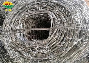 China Fencing Galvanised Steel Barbed Wire Security Sharp Anti Corrosion wholesale