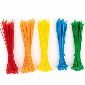China Nylon Label Tie Tape Injection Molds Maker Cable Tie Plastic Injection Mould wholesale