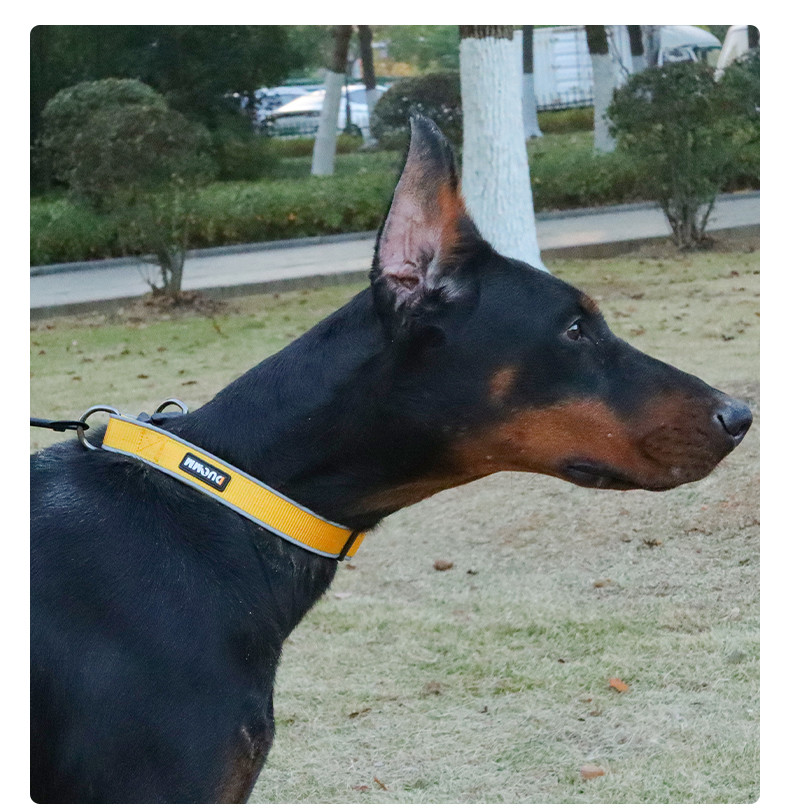 Pet Adjustable Dog Collar Reflective Collar For Medium And Large Dogs